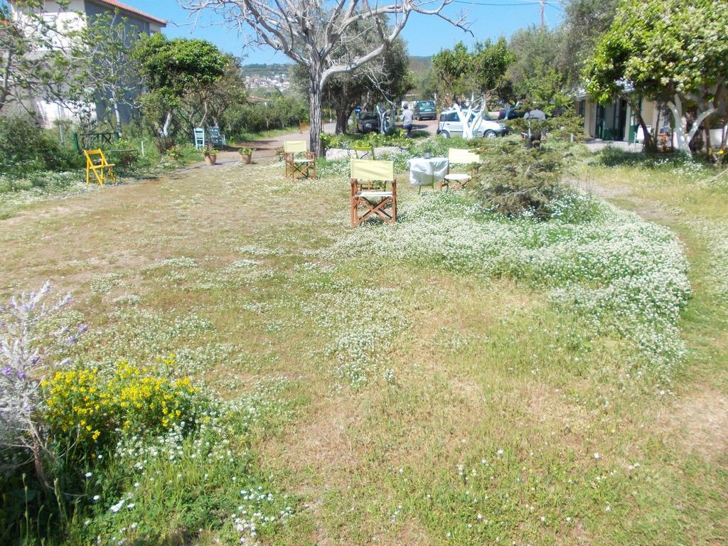 Kassimiotis Aparthotel Agios Andreas  ภายนอก รูปภาพ