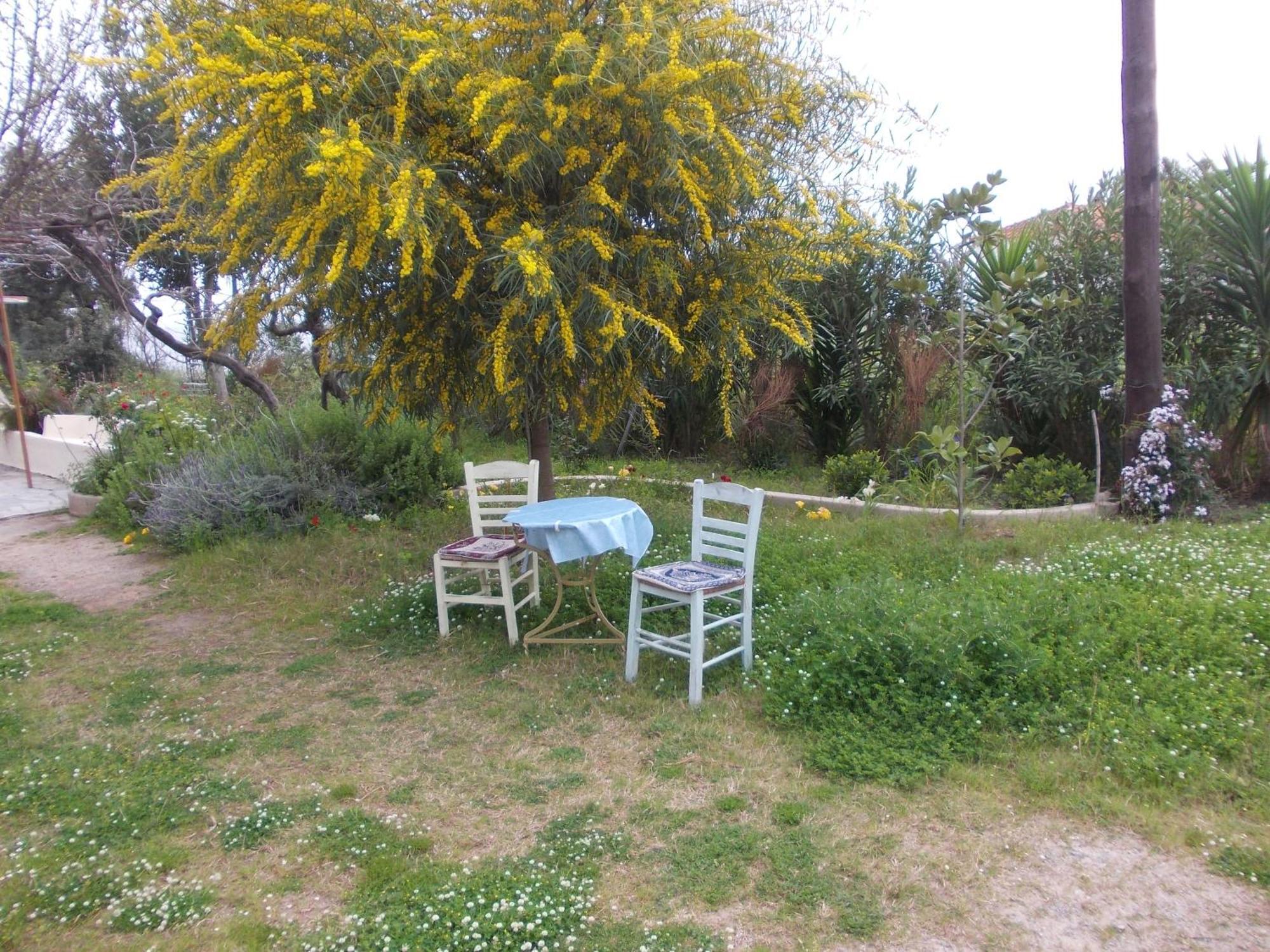 Kassimiotis Aparthotel Agios Andreas  ภายนอก รูปภาพ