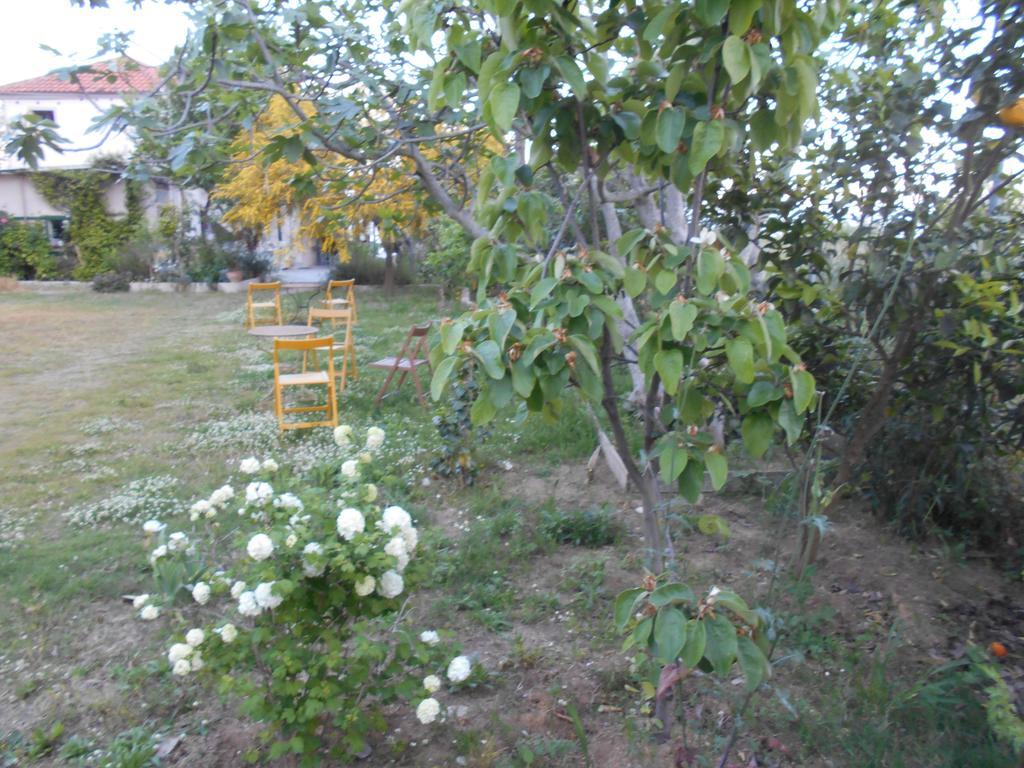 Kassimiotis Aparthotel Agios Andreas  ภายนอก รูปภาพ