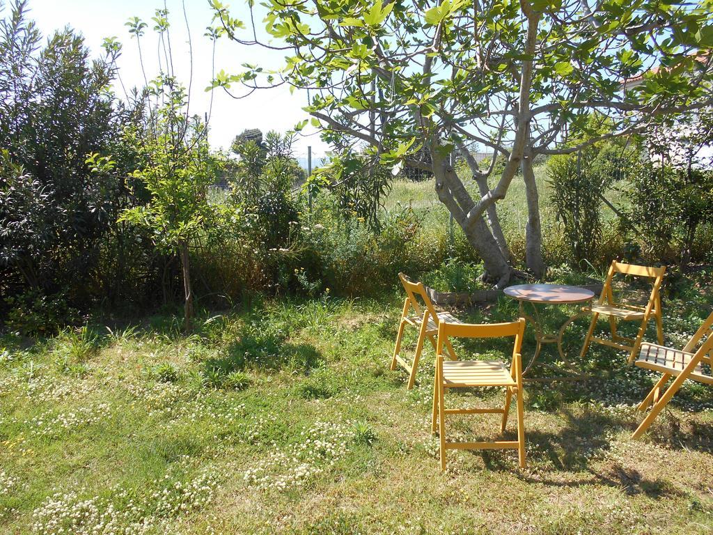 Kassimiotis Aparthotel Agios Andreas  ภายนอก รูปภาพ