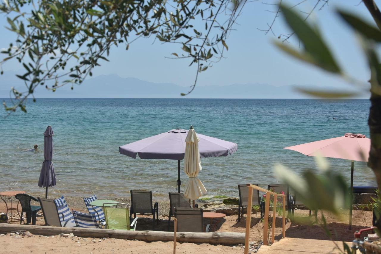 Kassimiotis Aparthotel Agios Andreas  ภายนอก รูปภาพ